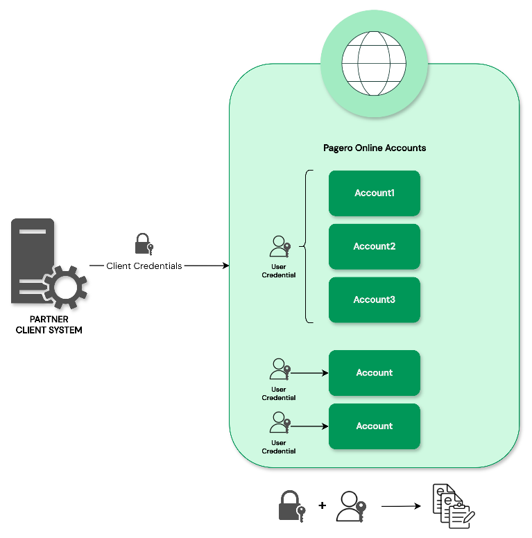 Partners, Accounts, and Users